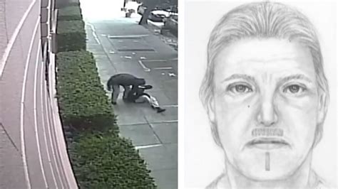 Suspect in SF assault that left woman, dog dead fatally shot by police